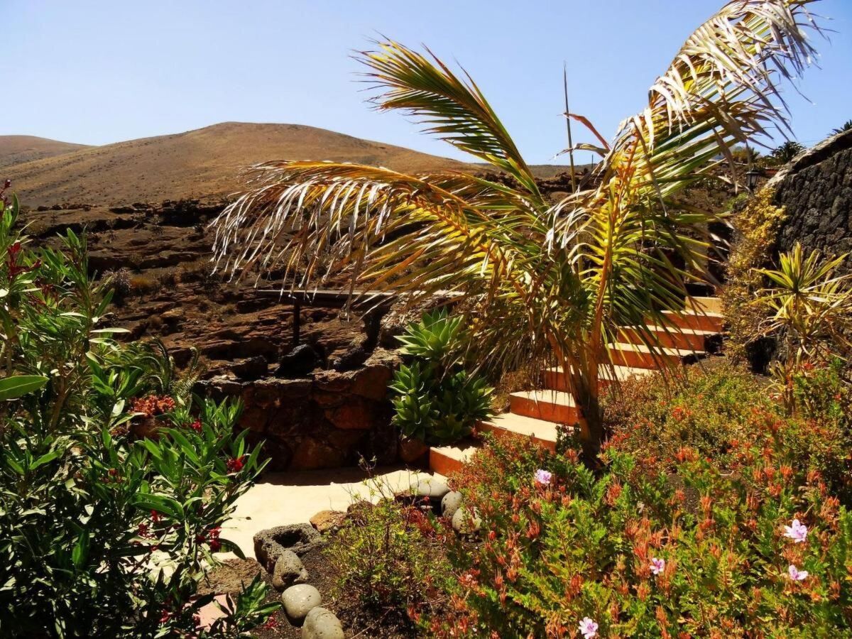 Maison troglodyte à La Asomada, piscine chauffée vue mer - Photo 16