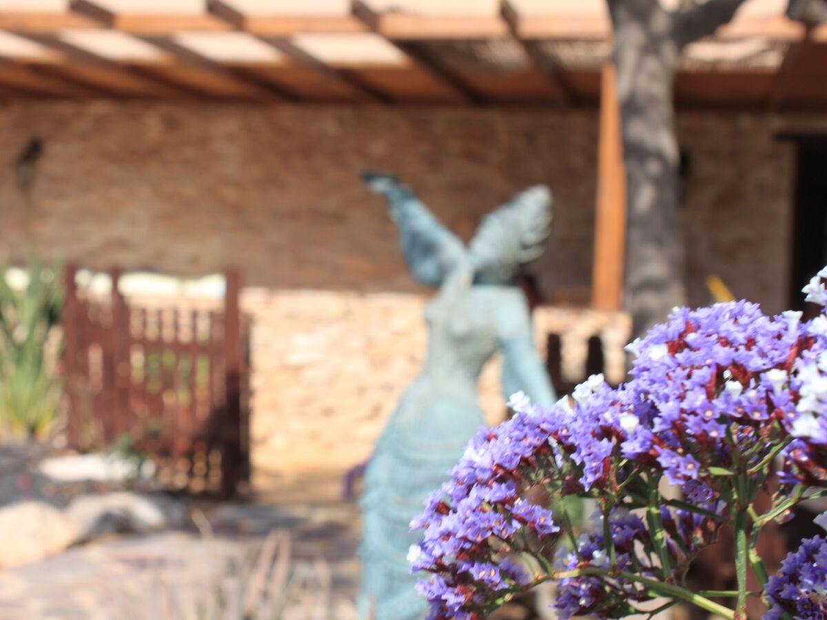 Maison canarienne centenaire avec piscine privée à Giniginamar - Photo 14