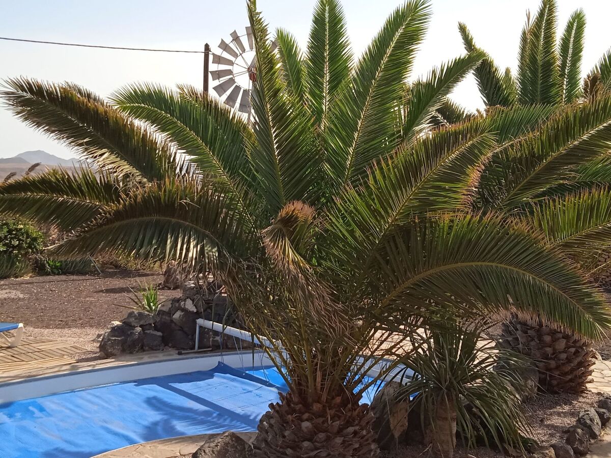 Maison canarienne centenaire avec piscine privée à Giniginamar - Photo 20