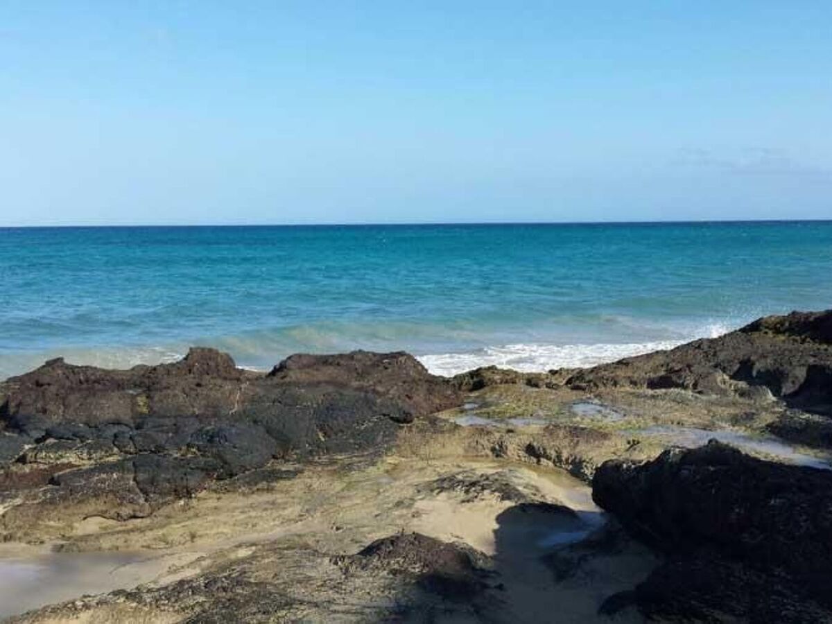 Appartement Costa Calma avec piscine commune et plage à 600 m - Photo 19