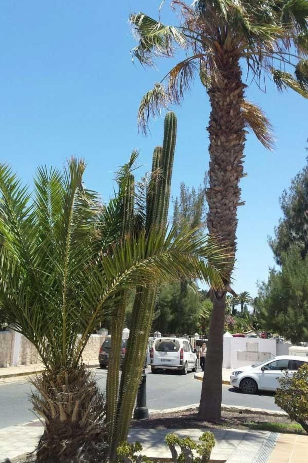 Appartement Costa Calma avec piscine commune et plage à 600 m - Photo 23