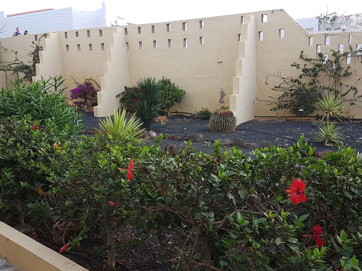 Appartement CasaVovo, 30m de la plage à Costa Calma - Photo 25
