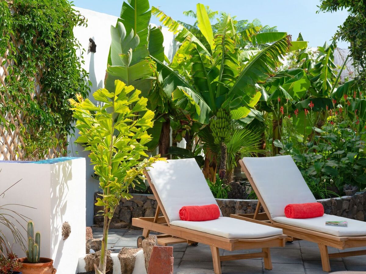 Maison Finca de 1730 à Guatiza, jardin tropical privé - Photo 2