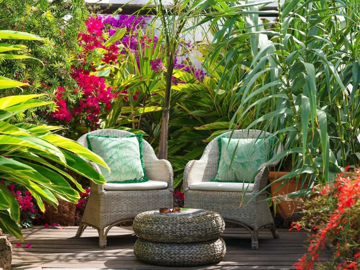 Maison Finca de 1730 à Guatiza, jardin tropical privé - Photo 3