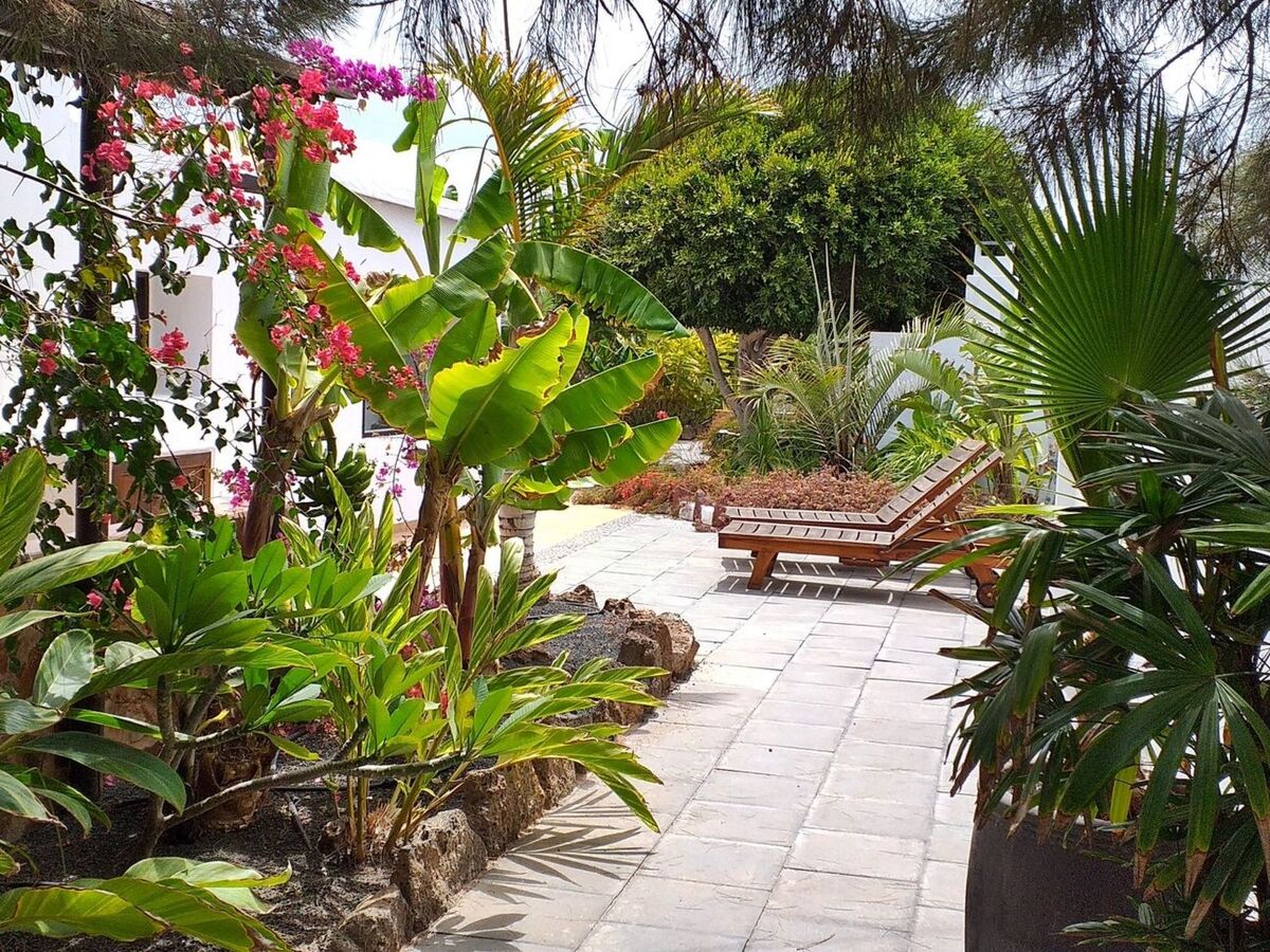 Maison Finca de 1730 à Guatiza, jardin tropical privé - Photo 24
