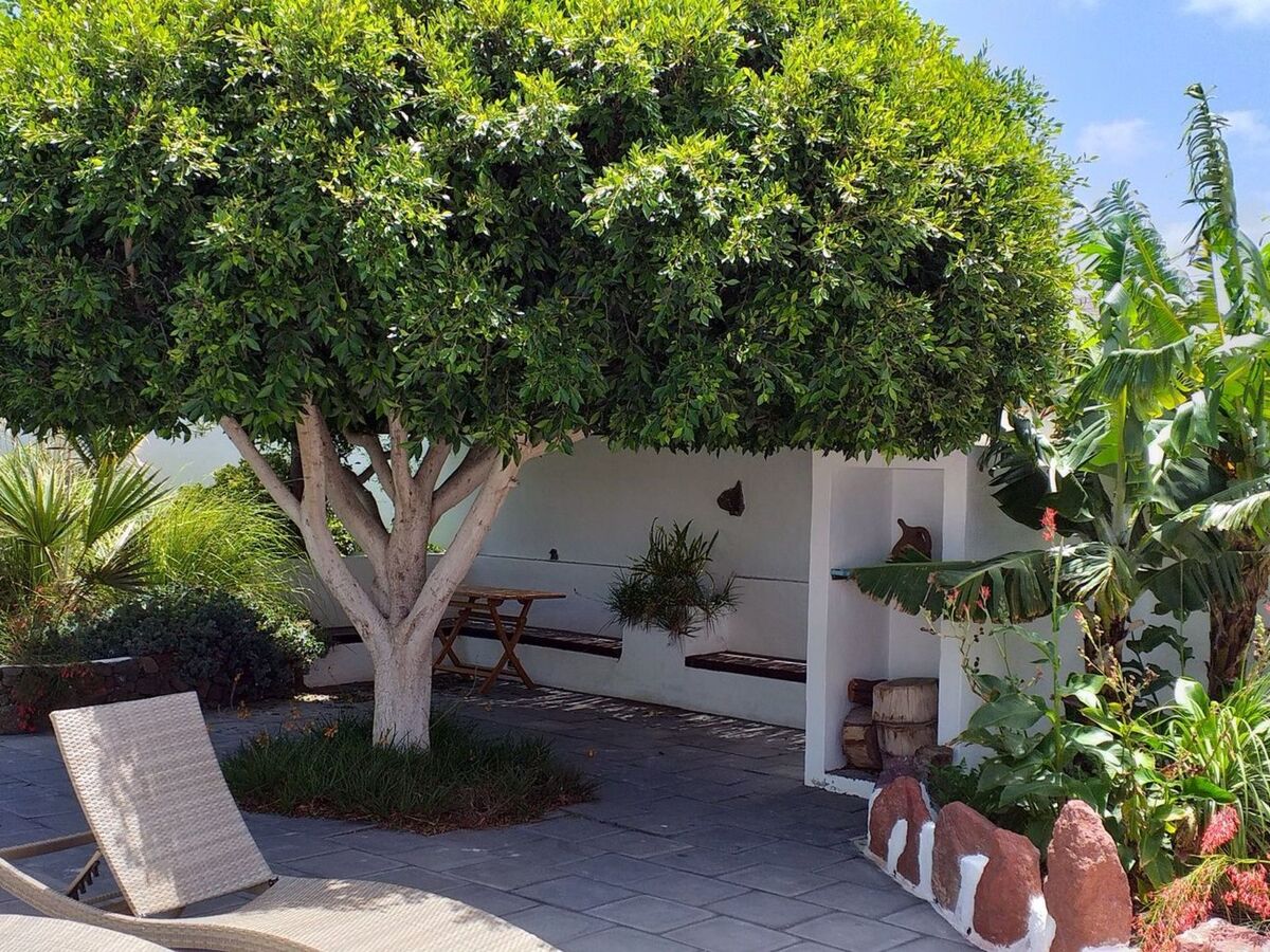 Maison Finca de 1730 à Guatiza, jardin tropical privé - Photo 25