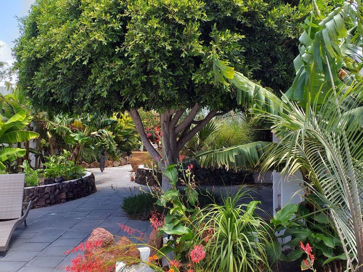 Maison Finca de 1730 à Guatiza, jardin tropical privé - Photo 27