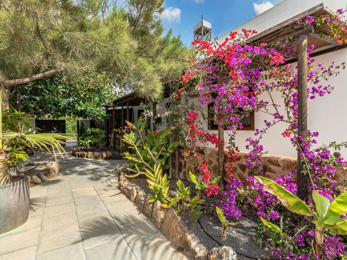 Maison Finca de 1730 à Guatiza, jardin tropical privé - Photo 28