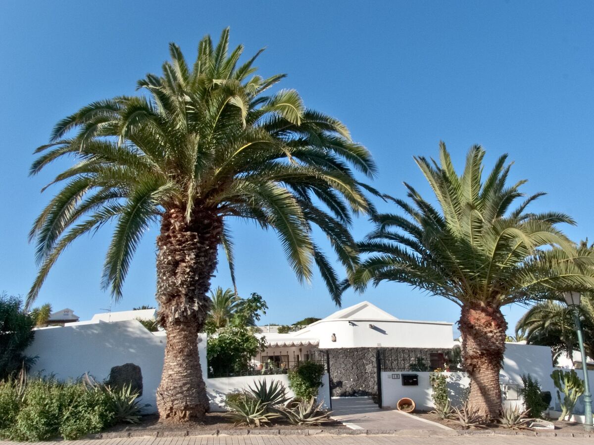 Maison 4 chambres Costa Teguise, piscine privée chauffée - Photo 5