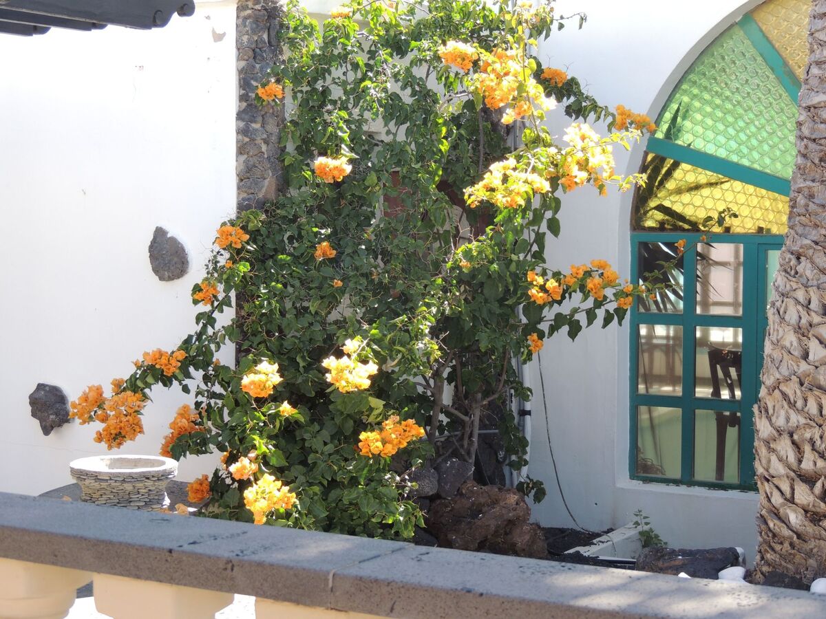Villa Sol, maison 3 chambres en bord de mer - Photo 28