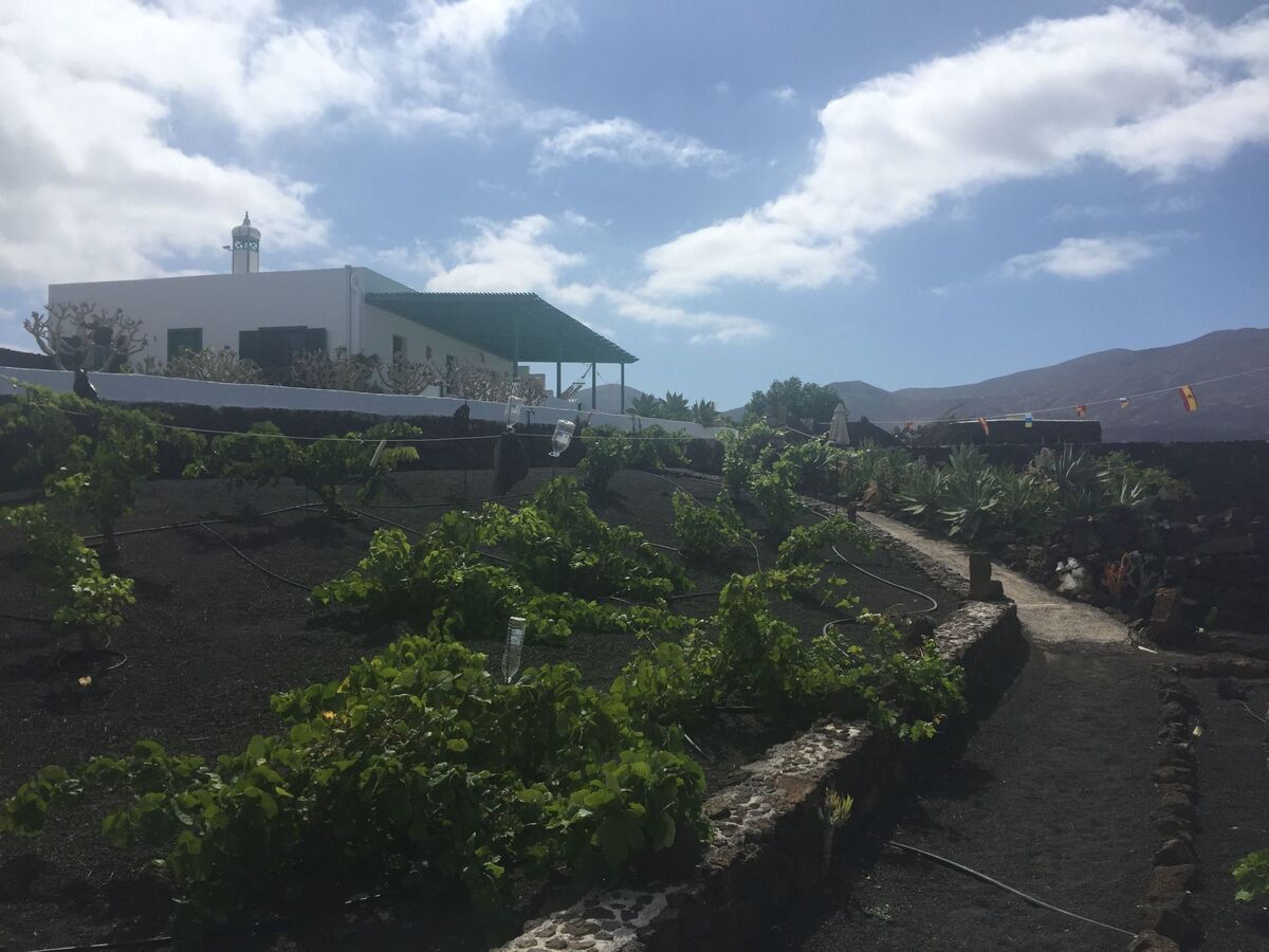 Finca Casa Andrés avec piscine et vue mer à Lanzarote - Photo 14