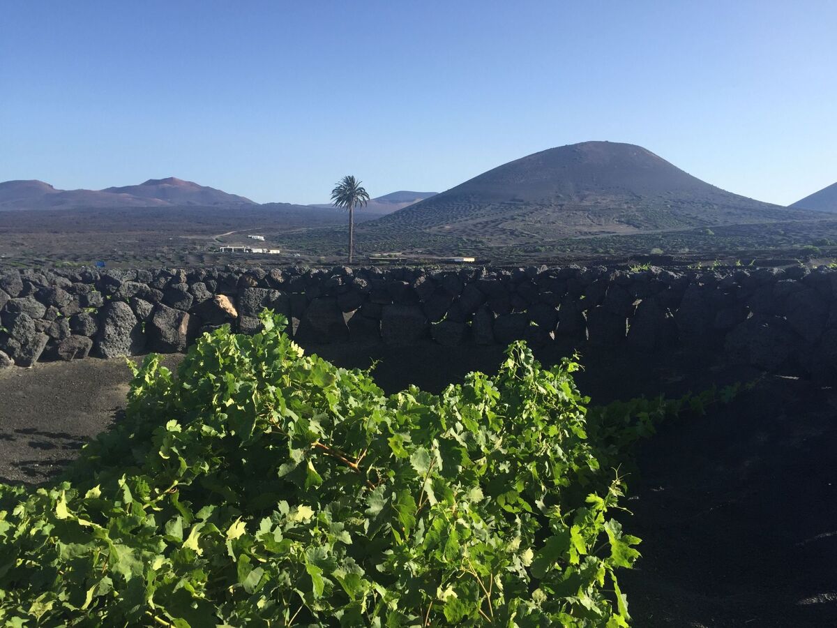 Finca Casa Andrés avec piscine et vue mer à Lanzarote - Photo 17