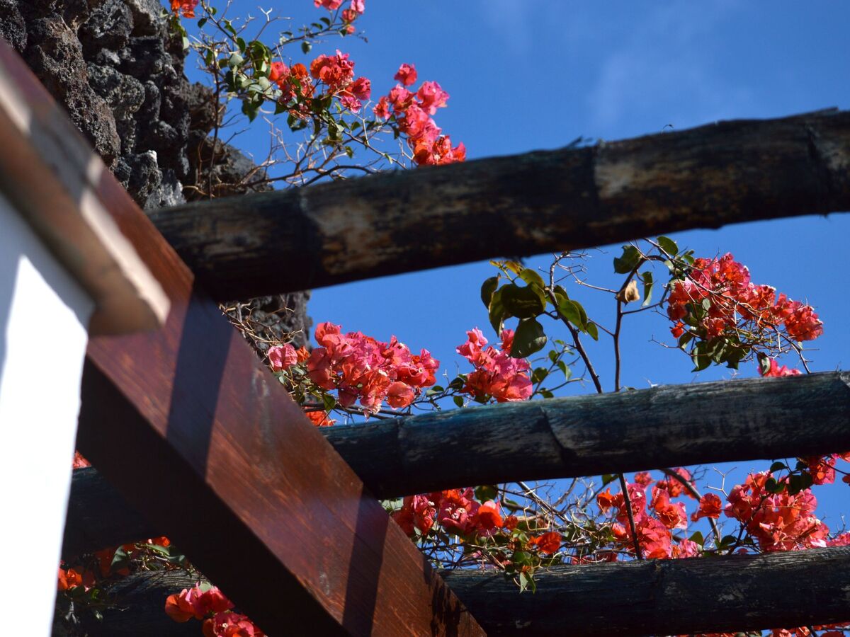 Finca Yazmina – Maison en pierre de lave à Uga, Lanzarote - Photo 40