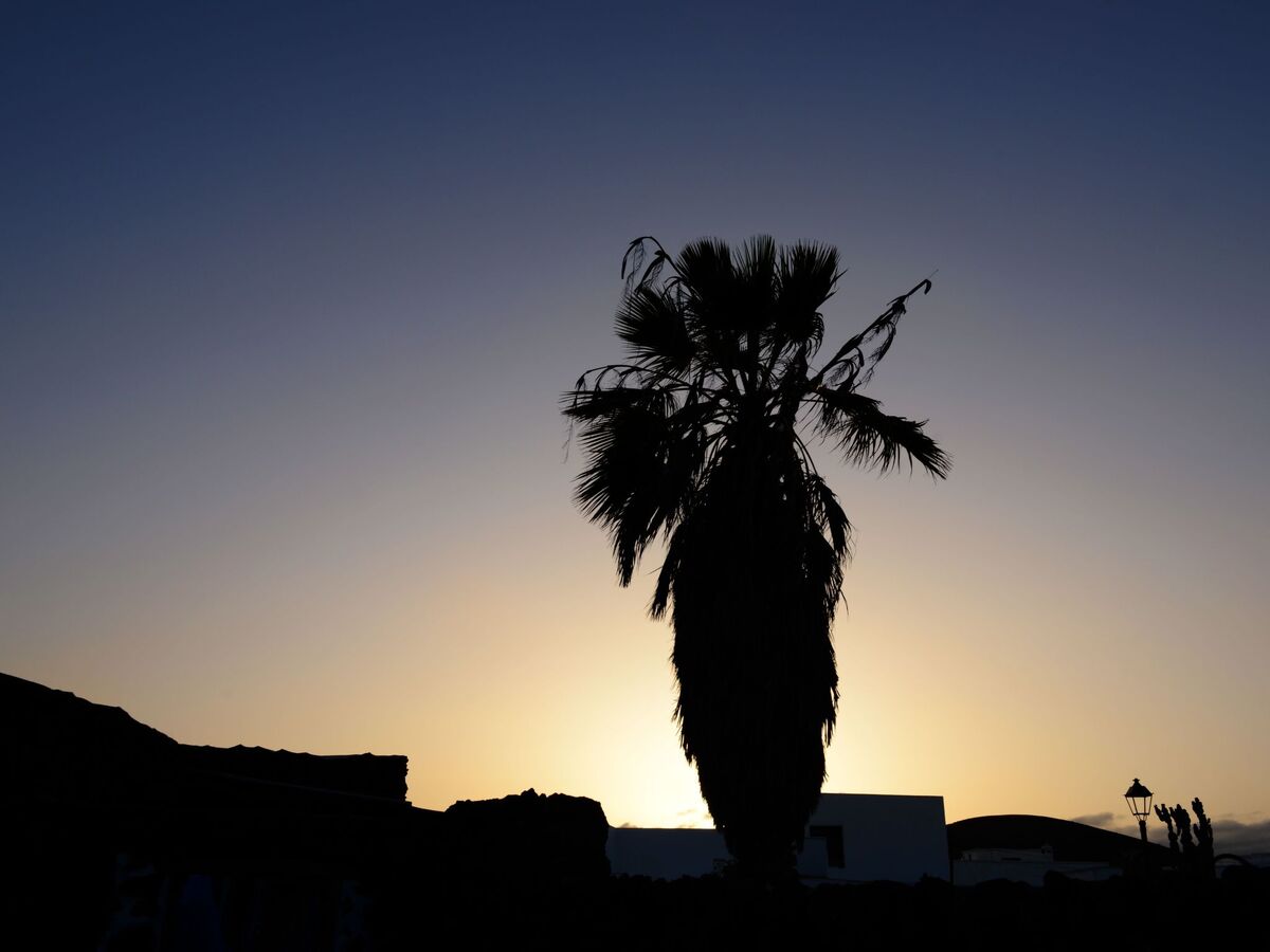Finca Yazmina – Maison en pierre de lave à Uga, Lanzarote - Photo 46