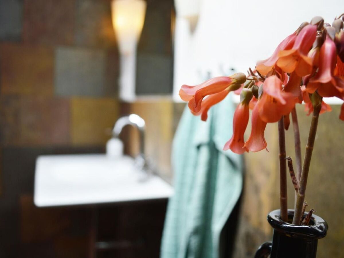 Appartement Casa Hibisco dans une finca du XVIIIe siècle, Uga - Photo 20