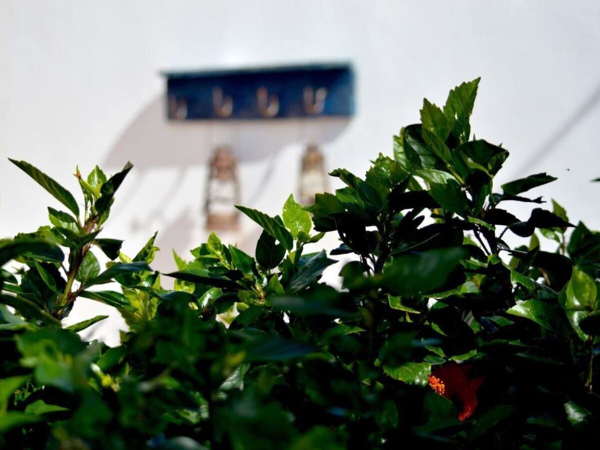 Appartement Casa Hibisco dans une finca du XVIIIe siècle, Uga - Photo 33