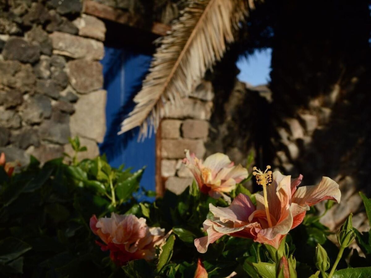 Appartement Casa Hibisco dans une finca du XVIIIe siècle, Uga - Photo 34