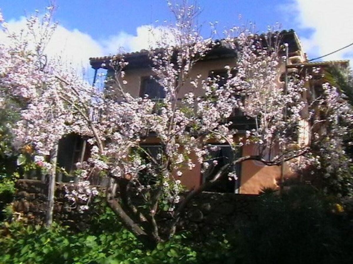 Finca Los Hondos, maison de pierre typique à Garafía - Photo 1
