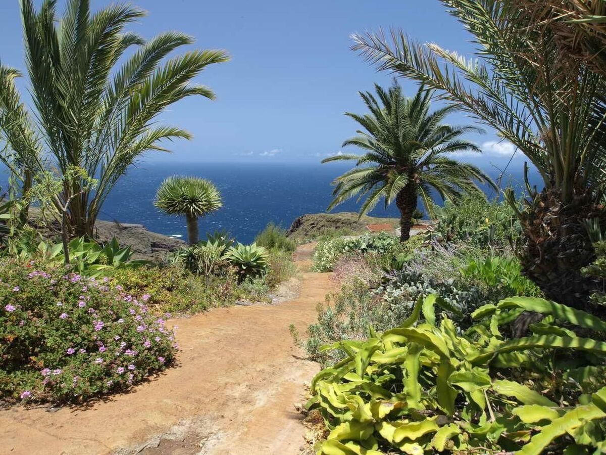 Finca Los Hondos, maison de pierre typique à Garafía - Photo 13