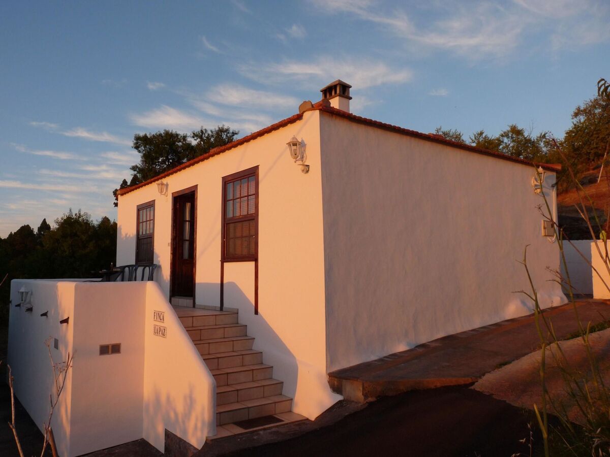 Finca Topo del Drago, vue mer à 800 m d'altitude - Photo 2