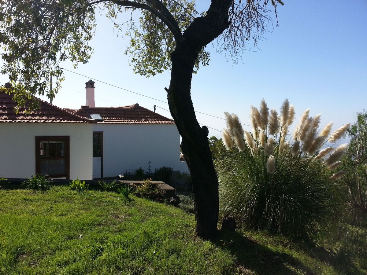 Finca Topo del Drago, vue mer à 800 m d'altitude - Photo 8