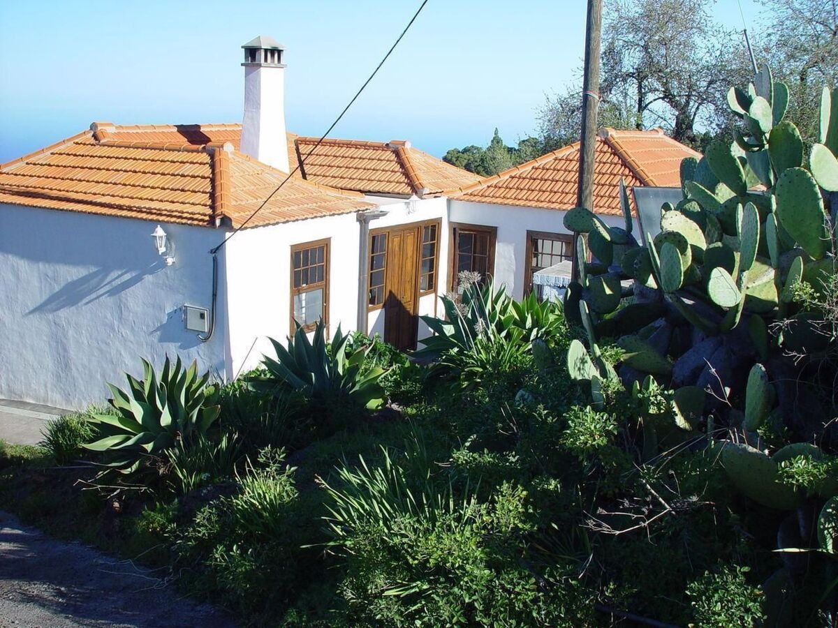 Finca Topo del Drago, vue mer à 800 m d'altitude - Photo 9