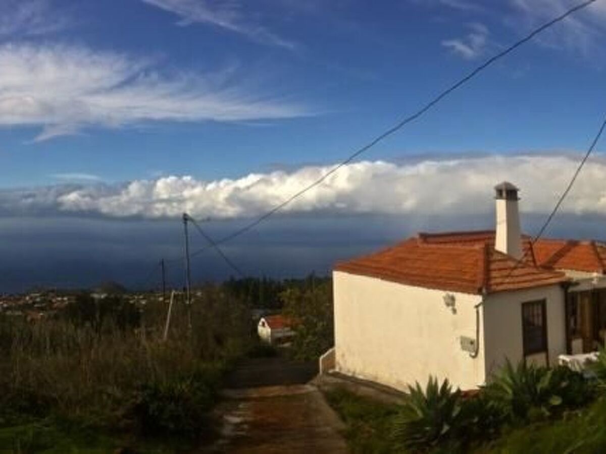 Finca Topo del Drago, vue mer à 800 m d'altitude - Photo 10