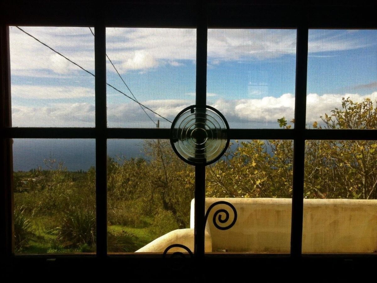 Finca Topo del Drago, vue mer à 800 m d'altitude - Photo 23