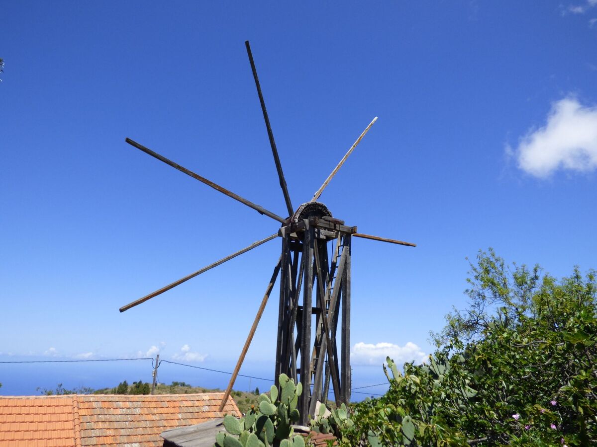 Finca Topo del Drago, vue mer à 800 m d'altitude - Photo 39