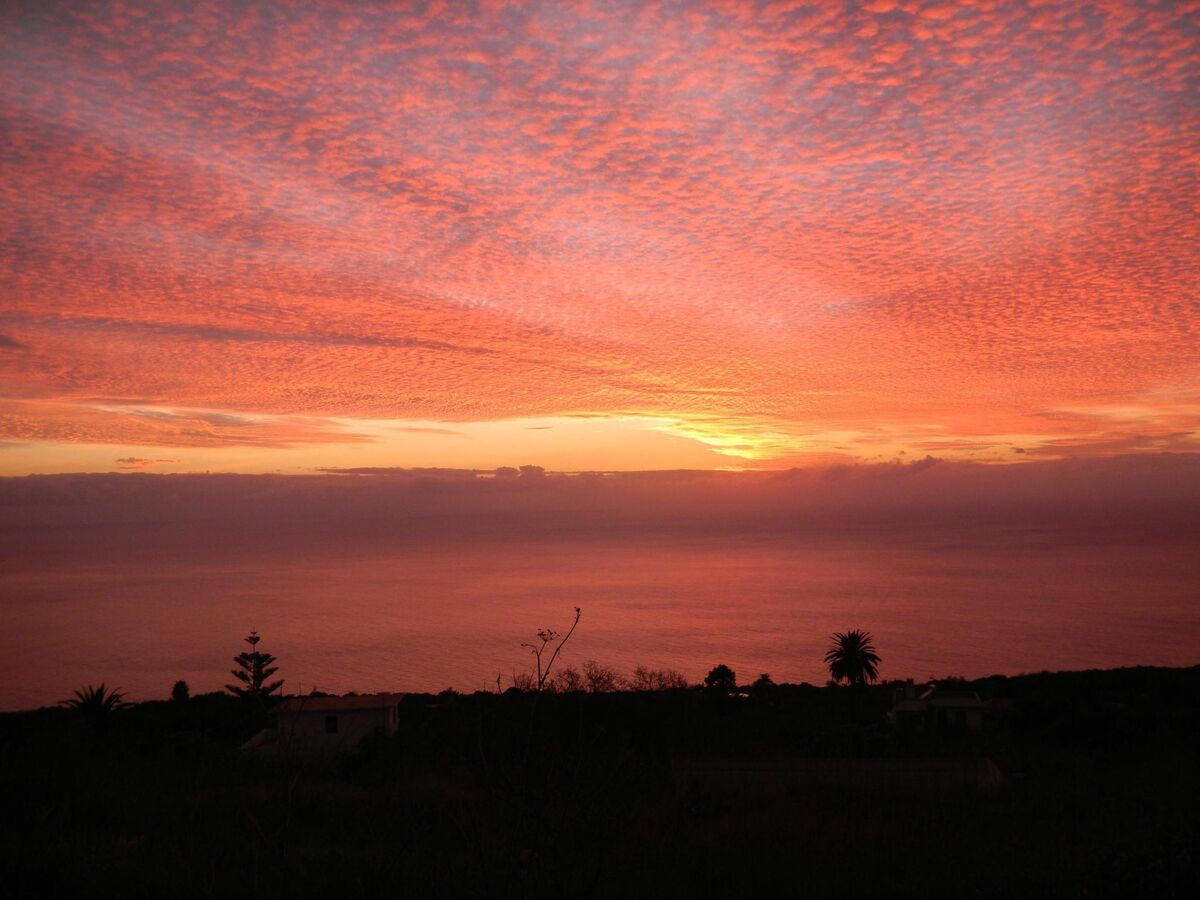 Finca Topo del Drago, vue mer à 800 m d'altitude - Photo 48
