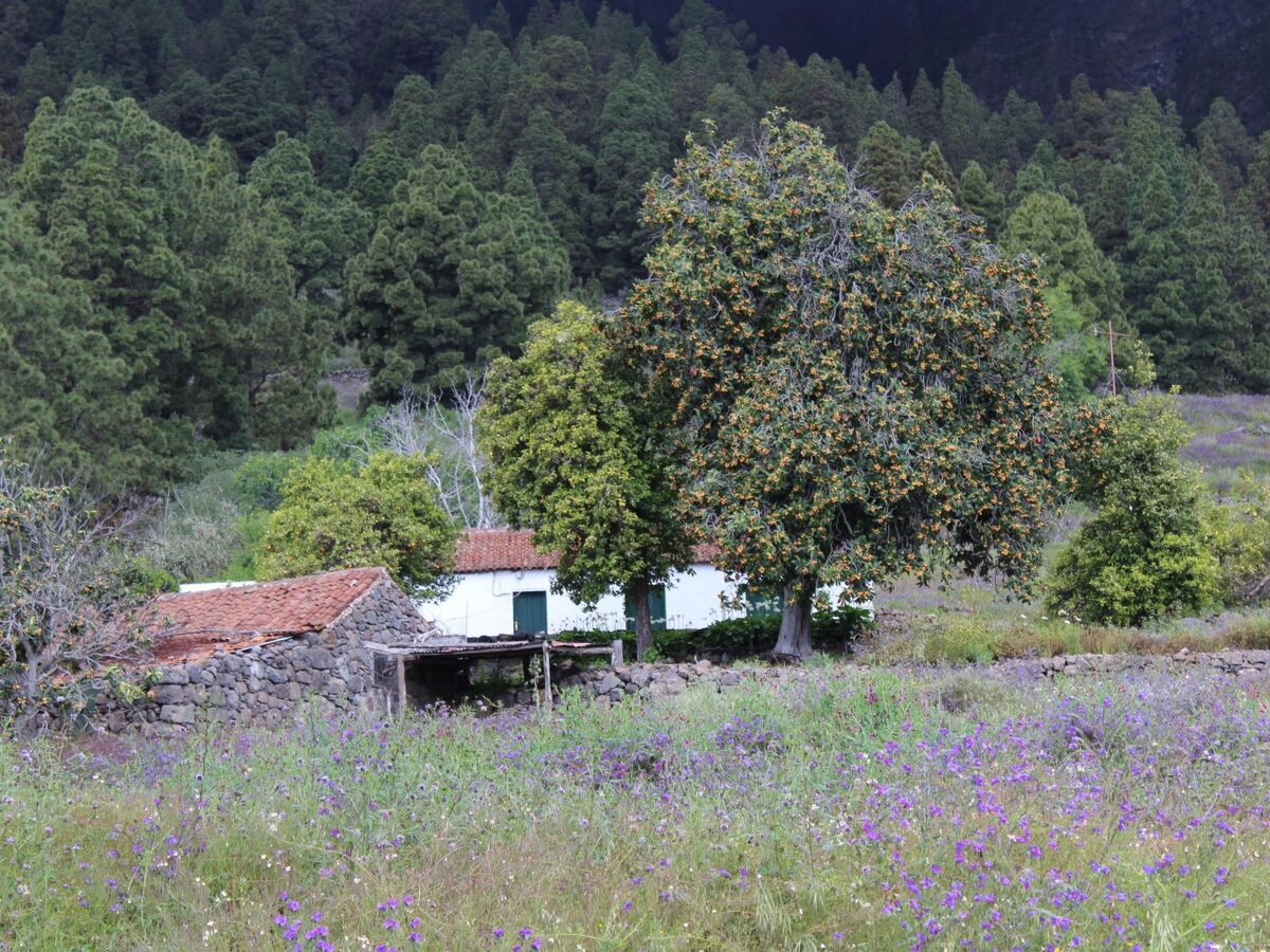 Maison isolée à Lodero, 195 m d'altitude, vue mer et montagne - Photo 34