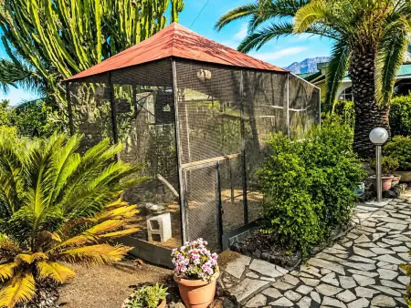 Maison à El Paso – terrasse 40 m² avec vue mer et montagne : photo 26