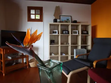 Casa Tanausu – Maison canarienne à Los Llanos de Aridane : photo 9