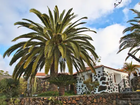 Casa Tanausu – Maison canarienne à Los Llanos de Aridane : photo 16
