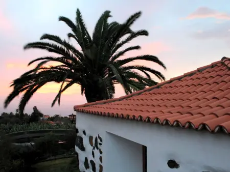 Casa Tanausu – Maison canarienne à Los Llanos de Aridane : photo 19