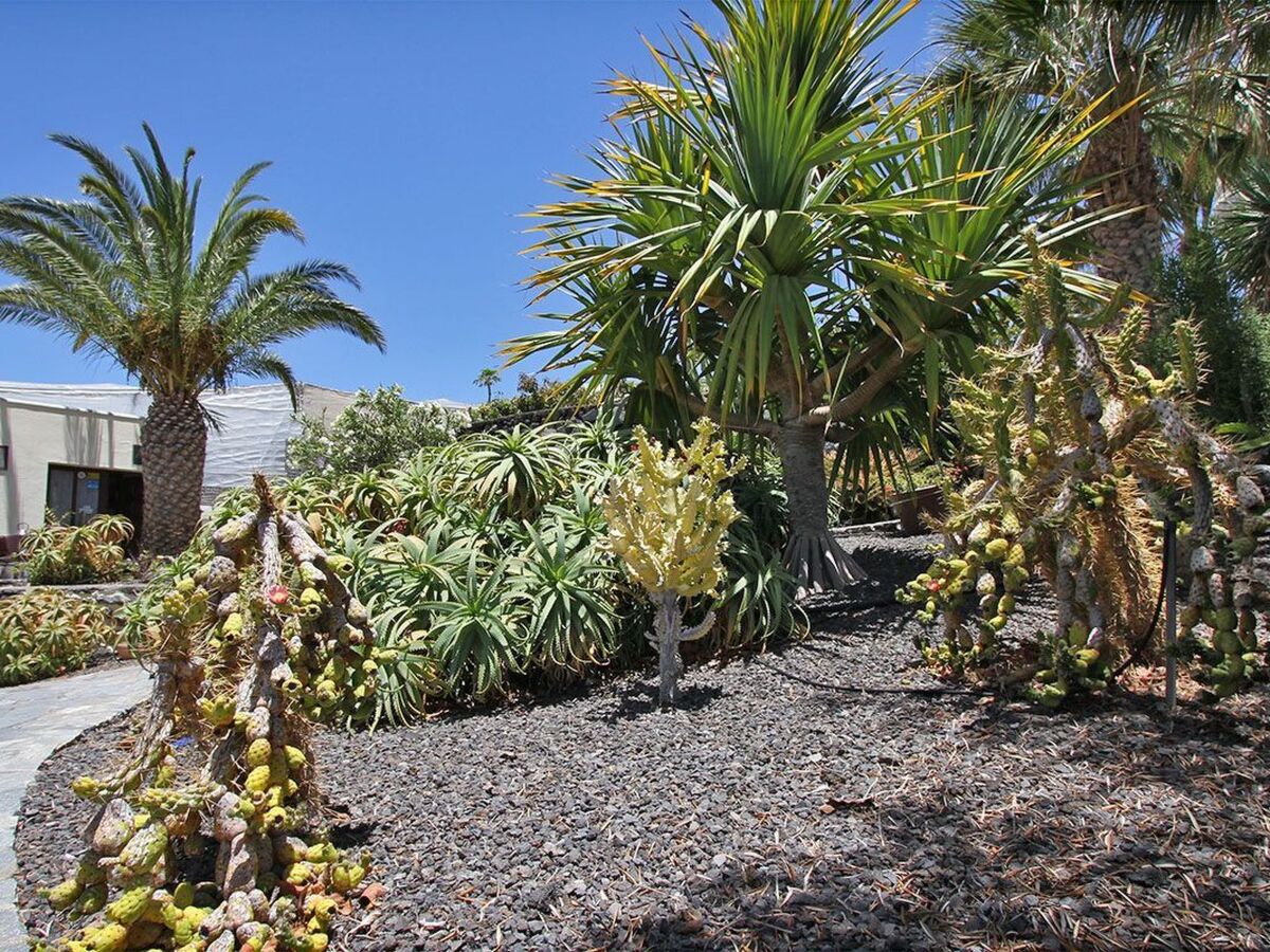 Appartement Moijama 2 – finca rustique, vue mer à Las Manchas - Photo 3