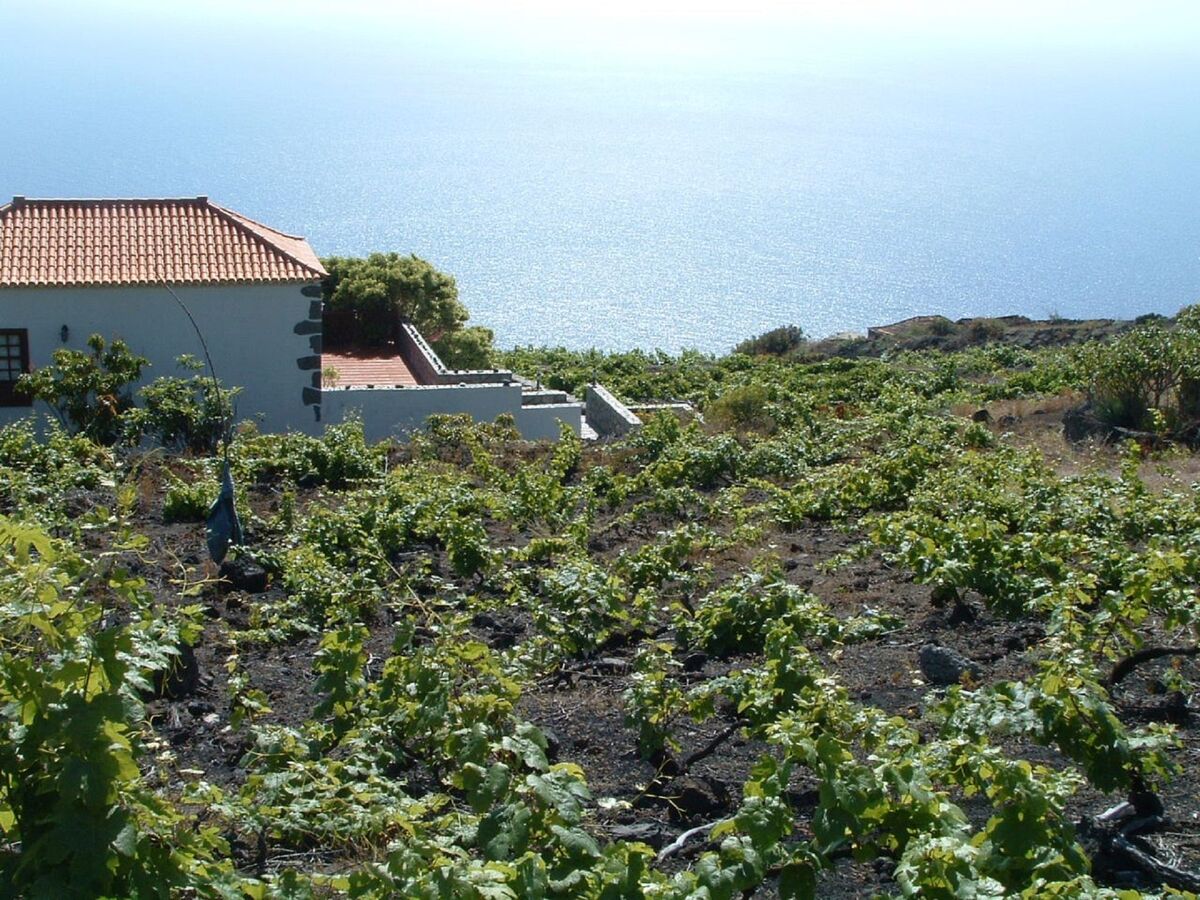 Maison à Fuencaliente avec vue sur les volcans San Antonio et Teneguia - Photo 38