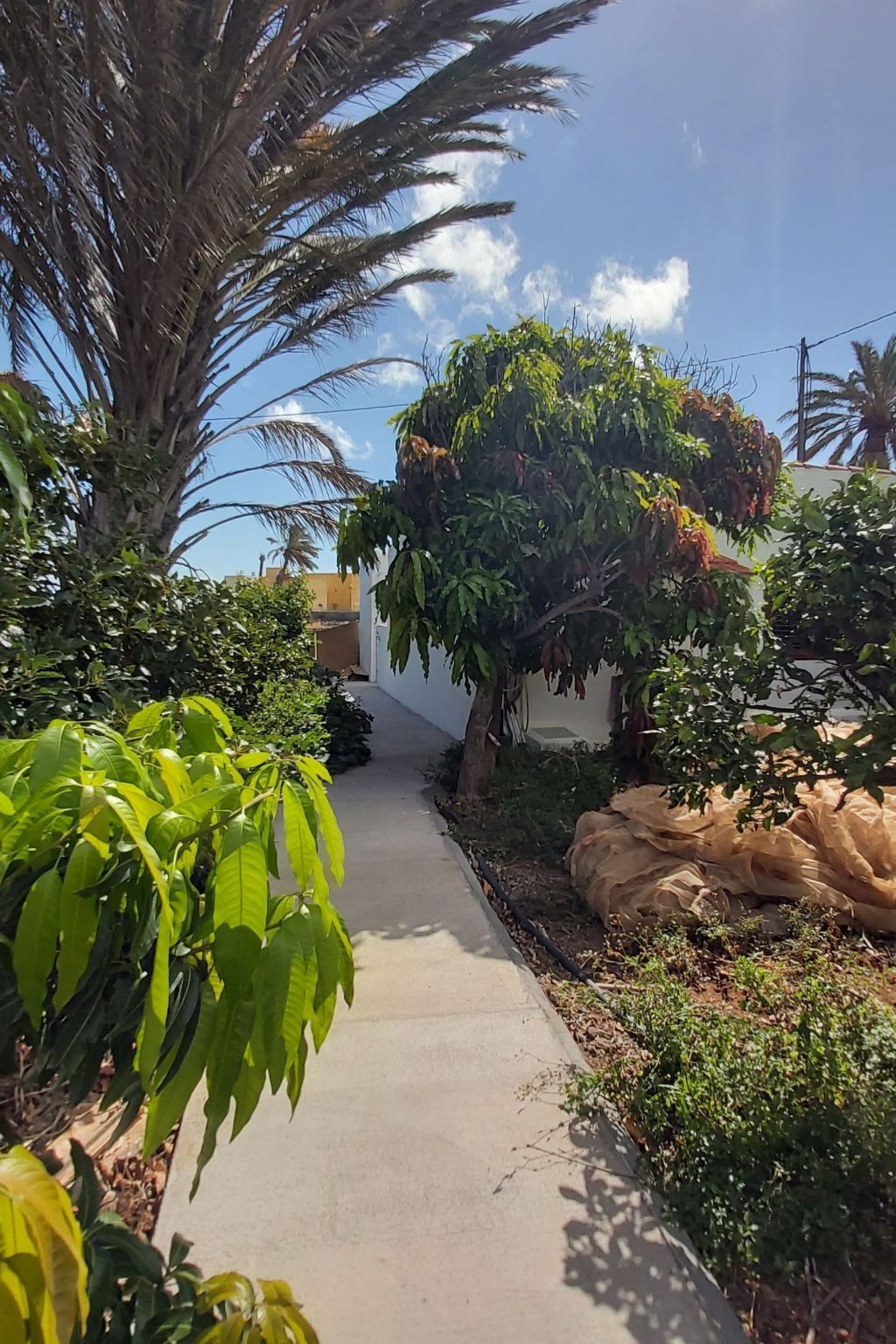 Finca Villa Clara 4 – Maison neuve à Hermigua - Photo 6