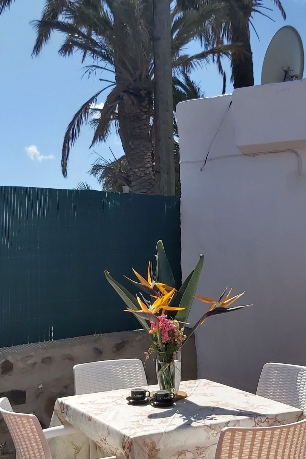 Finca Villa Clara 4 – Maison neuve à Hermigua - Photo 15