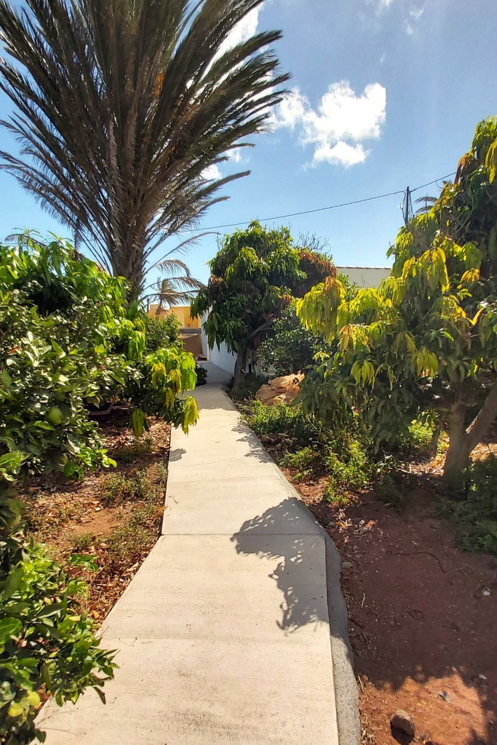 Finca Villa Clara 4 – Maison neuve à Hermigua - Photo 25