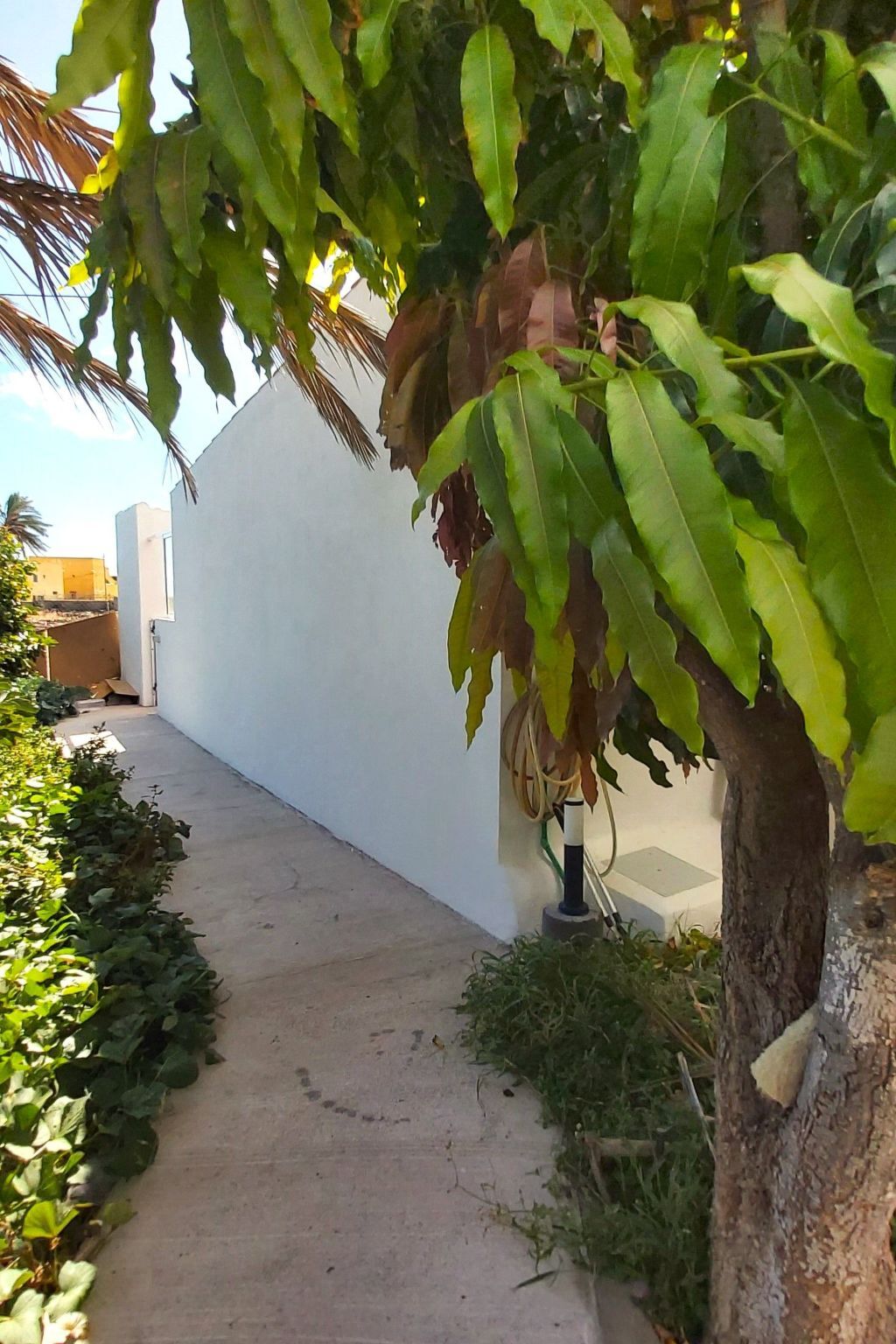 Finca Villa Clara 4 – Maison neuve à Hermigua - Photo 26