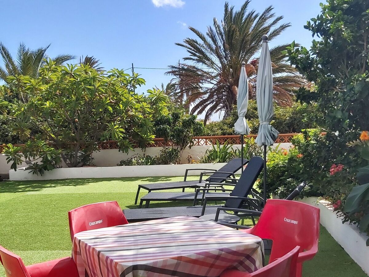 Finca Villa Clara 4 – Maison neuve à Hermigua - Photo 33