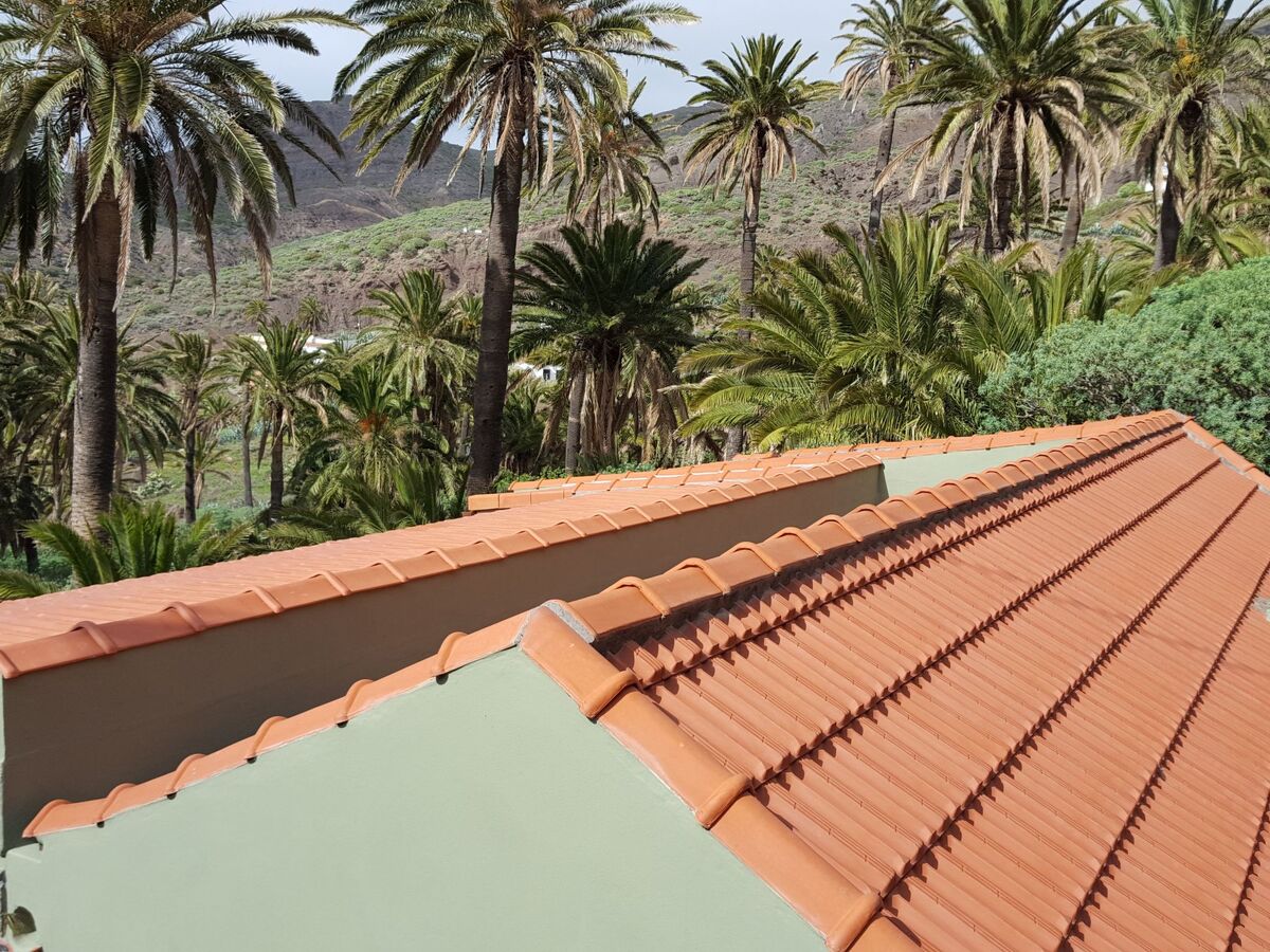 Finca avec vue mer à Vallehermoso, La Gomera - Photo 5