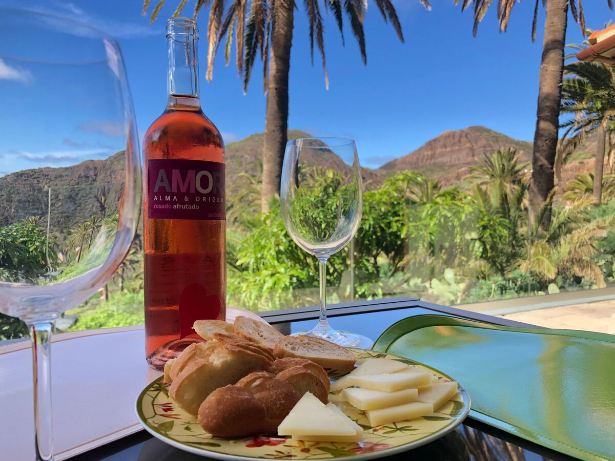 Finca avec vue mer à Vallehermoso, La Gomera - Photo 12