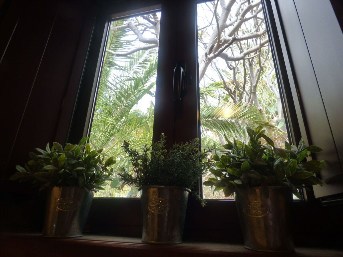 Finca avec vue mer à Vallehermoso, La Gomera - Photo 21