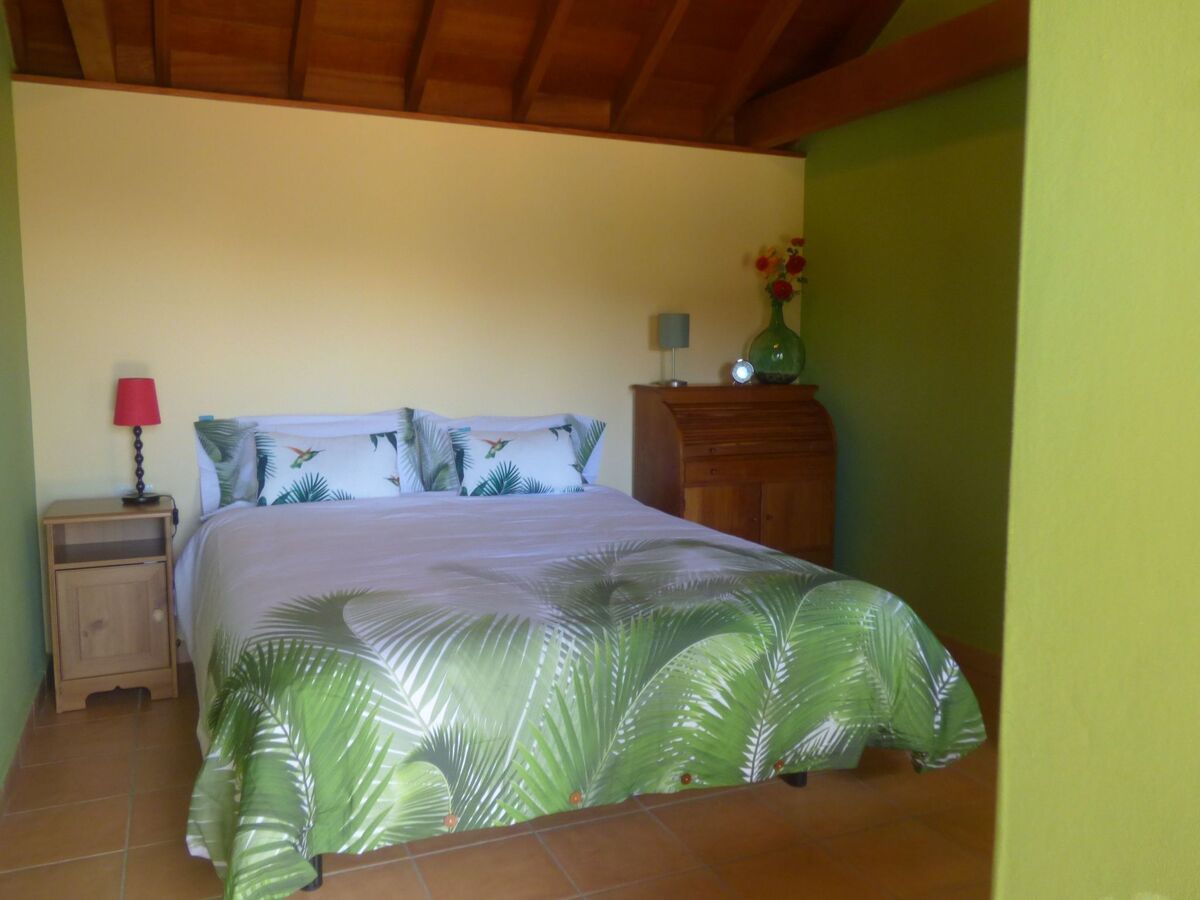 Finca avec vue mer à Vallehermoso, La Gomera - Photo 26