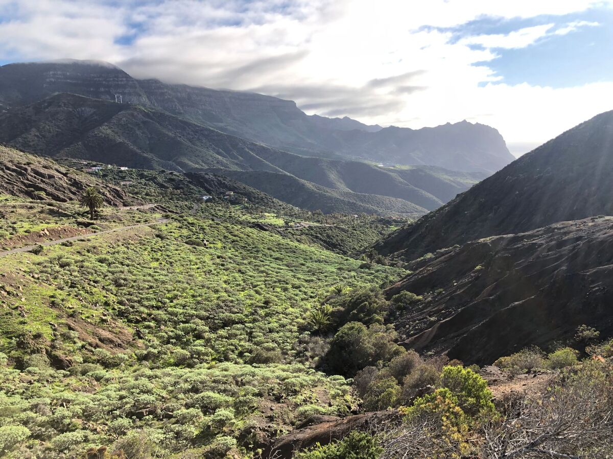 Finca avec vue mer à Vallehermoso, La Gomera - Photo 30