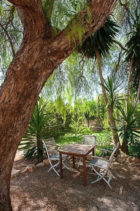 Finca Can Gall – Mas ibicenco de 300 ans avec piscine à San Lorenzo : photo 14