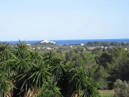 Finca Can Gall – Mas ibicenco de 300 ans avec piscine à San Lorenzo : photo 15