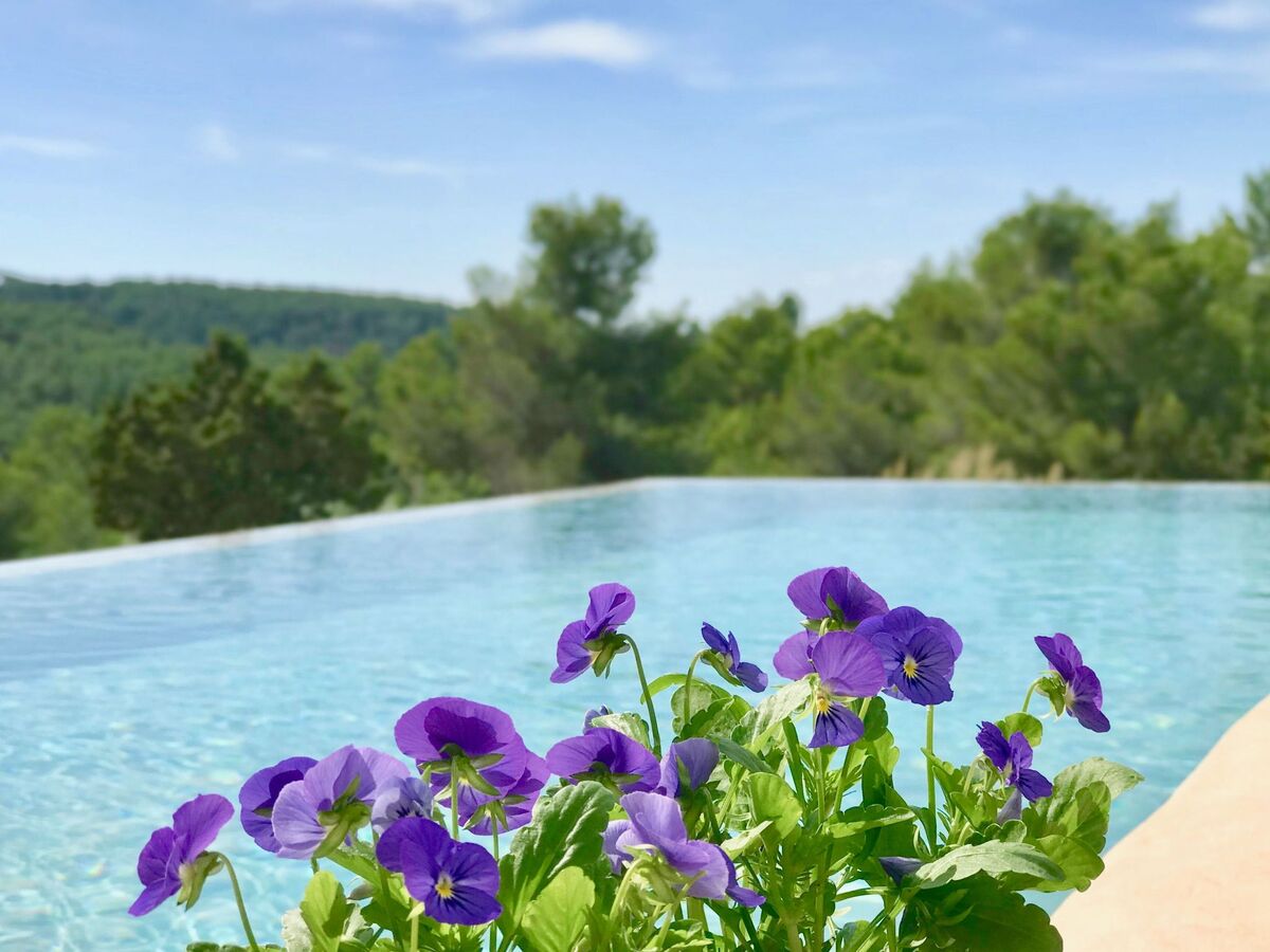 Villa Sa Paissa – 6 chambres en lisière de forêt, Sant Josep - Photo 7